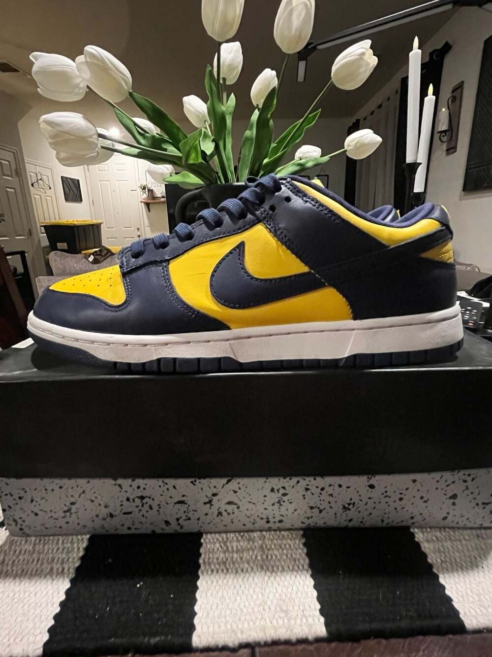 Nike Dunk Low 'Michigan' Men's Size 10 Pre-owned Sneakers DD1391-700
